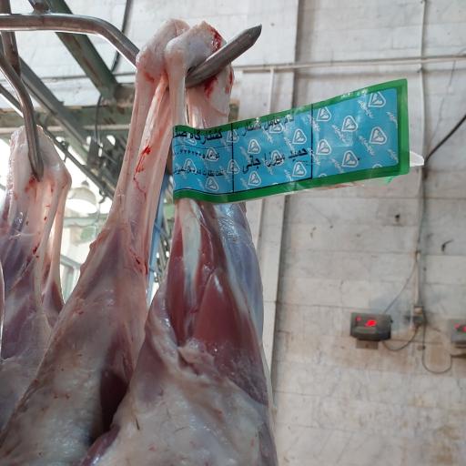 عکس پخش گوشت ملوان 