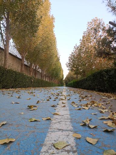 بوستان مادر و کودک