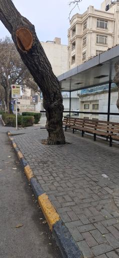 عکس  ابتدای ایرج