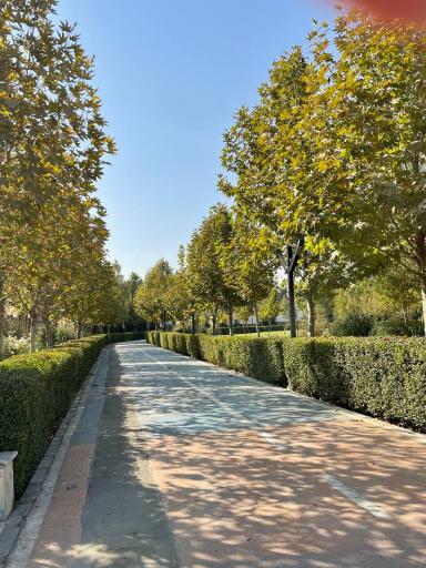 عکس بوستان مادر و کودک