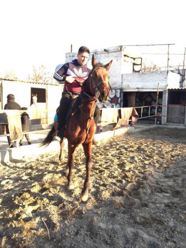 عکس باشگاه سوارکاری نامدار شاه