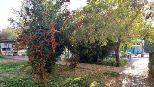 عکس دانشگاه علوم پزشکی کرمان