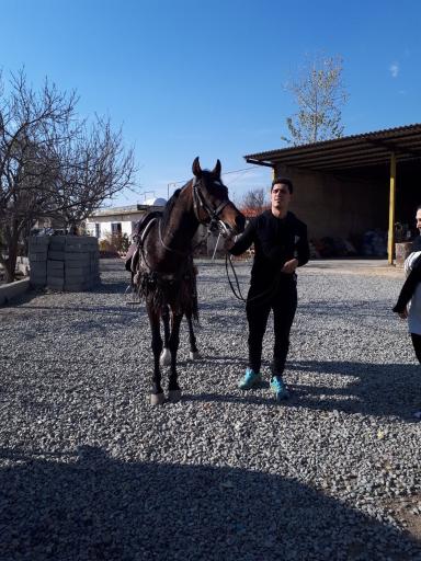 عکس باشگاه سوارکاری نامدار شاه