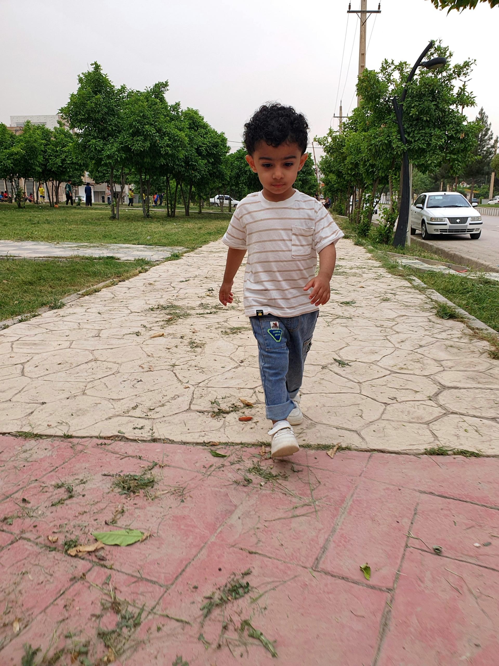 عکس بوستان نارنجستان