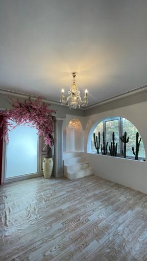 عکس آتلیه گره طلایی شعبه VIP