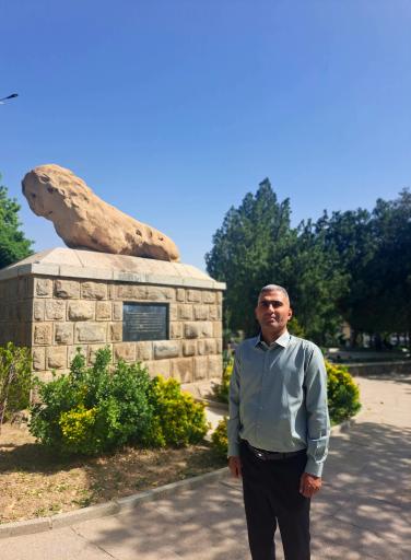 عکس مجسمه شیرسنگی