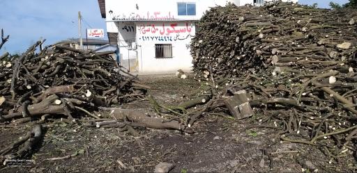 عکس دپو چوب محمد خطی