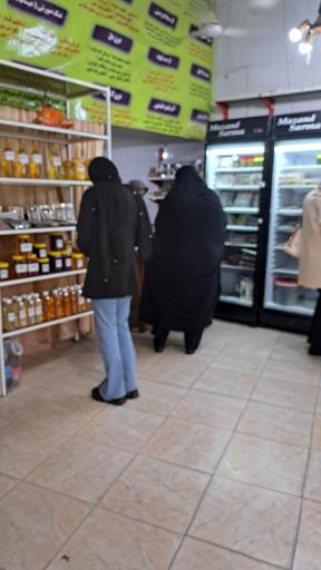 عکس فروشگاه حامانیک