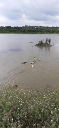 عکس آب‌بندان ساروکلا