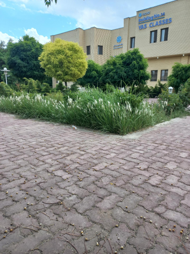 عکس دانشگاه علوم پزشکی کرمان