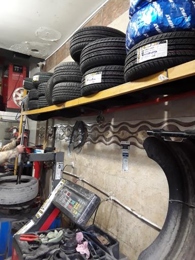 عکس لاستیک محمدی 