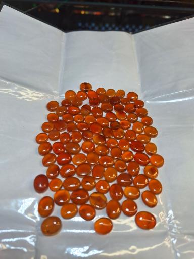 عکس گالری زیبا