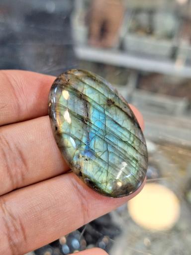 عکس گالری زیبا