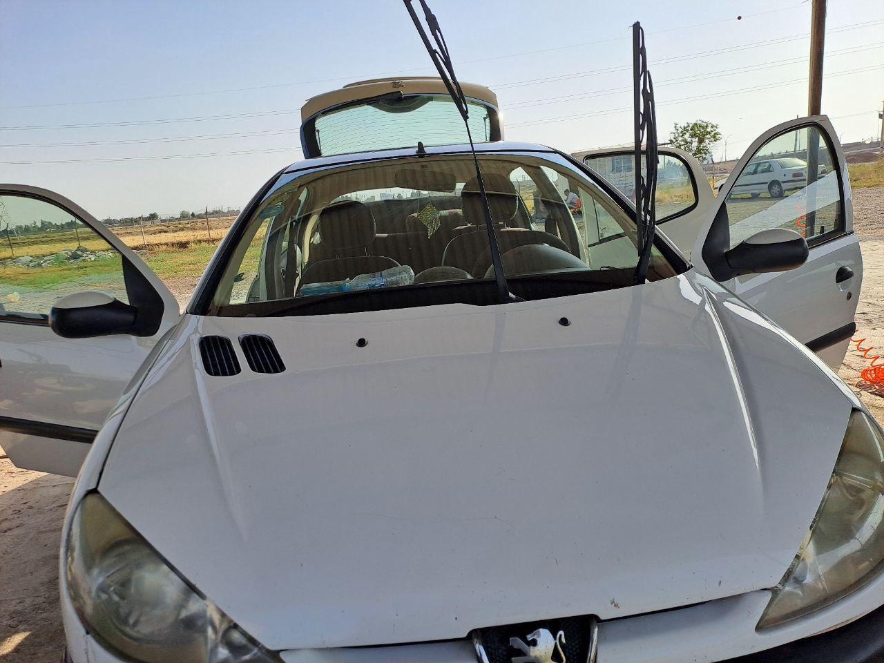 عکس کارواش پاشا