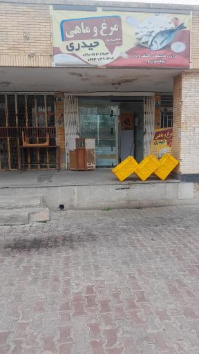 عکس مرغ و ماهی حیدری