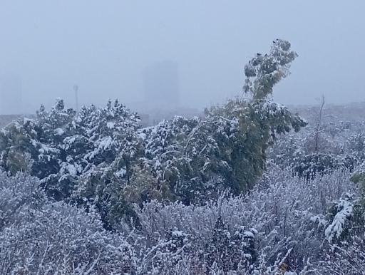 عکس بوستان بهار 