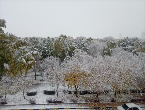 عکس بوستان بهار 