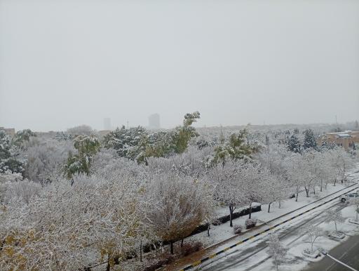 عکس بوستان بهار 