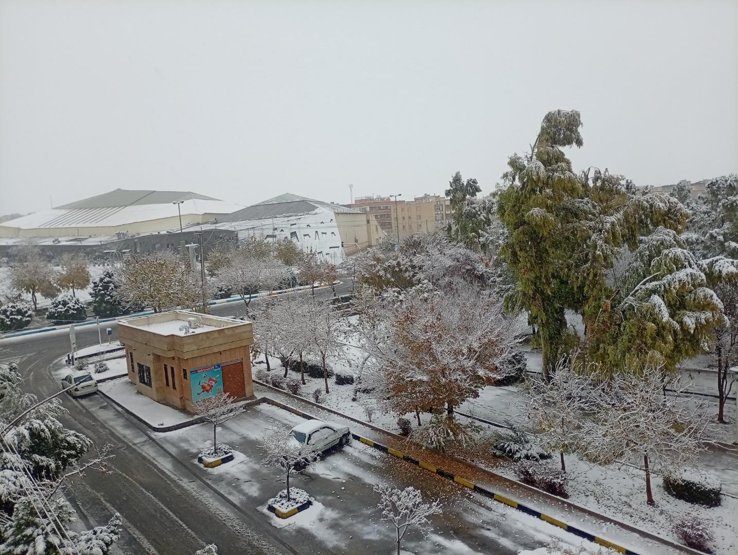 عکس بوستان بهار 
