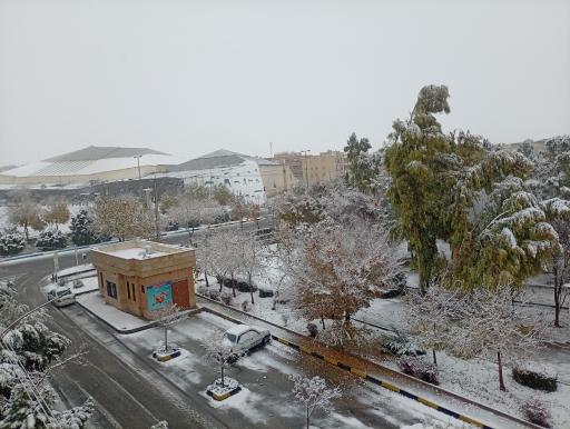 عکس بوستان بهار 