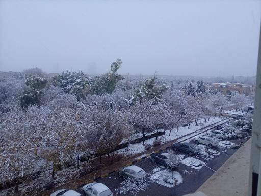 عکس بوستان بهار 