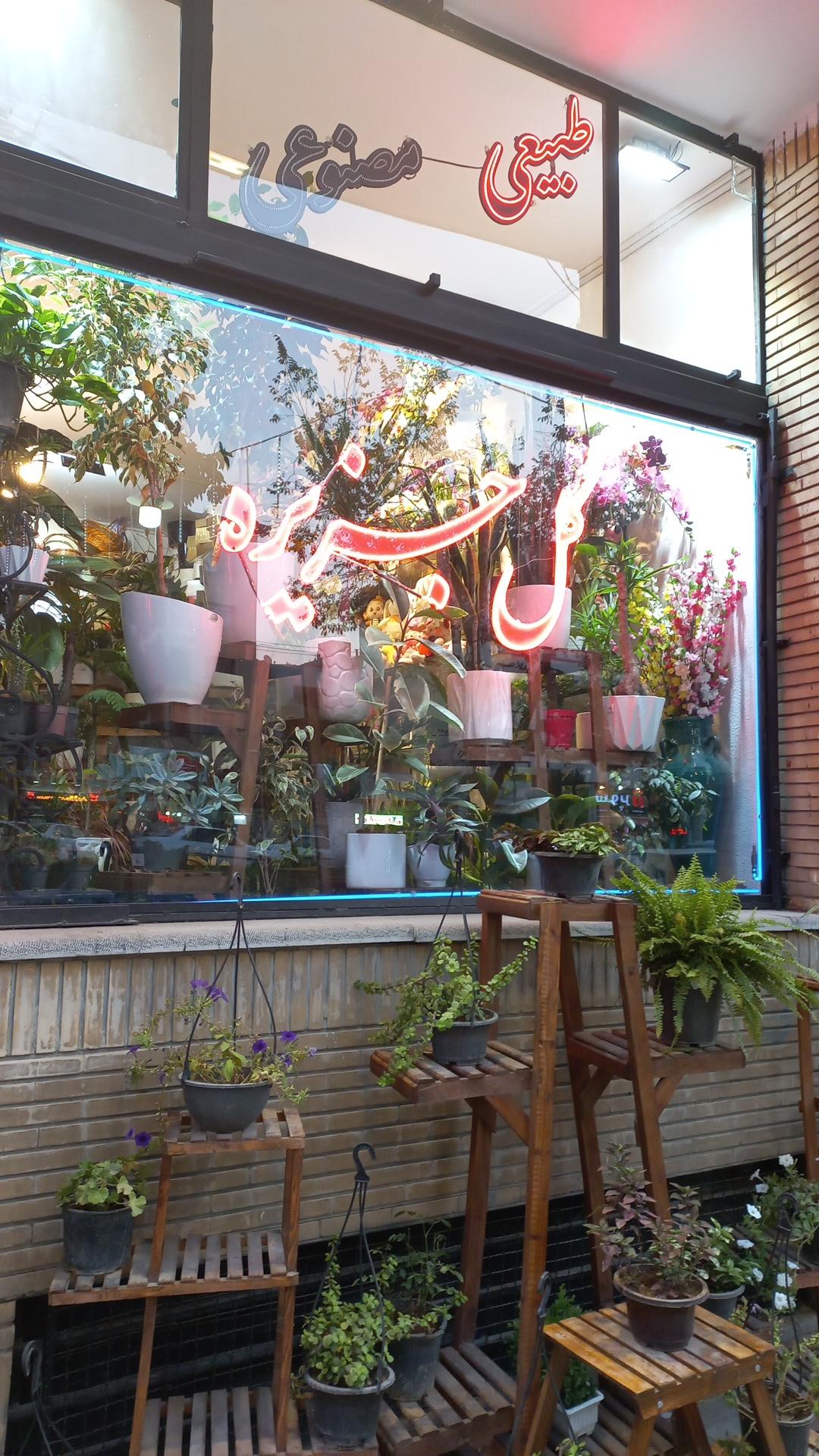 عکس گل فروشی جزیره