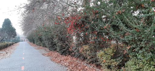 دهکده ورزشی چهارباغ