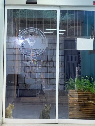 عکس بیمارستان دامپزشکی ققنوس