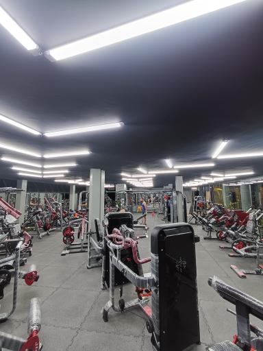 عکس باشگاه بدنسازی مدال شعبه vip