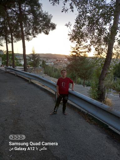 عکس پارک شیرین