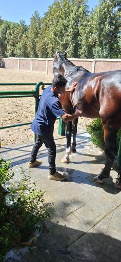 عکس دهکده ورزشی چهارباغ