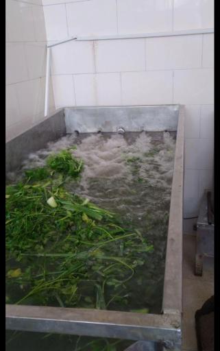 سبزی فروشی نازگل