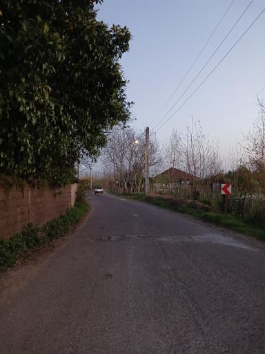 عکس چوکده