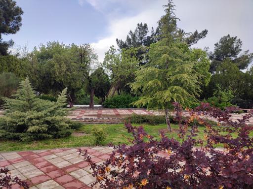 عکس پارک شیرین