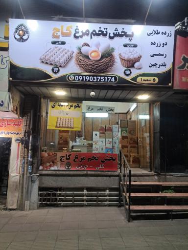 عکس پخش تخم‌مرغ کاج