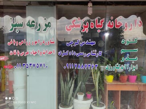 عکس داروخانه گیاه پزشکی گرجی