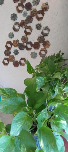 عکس کافه هنرکار