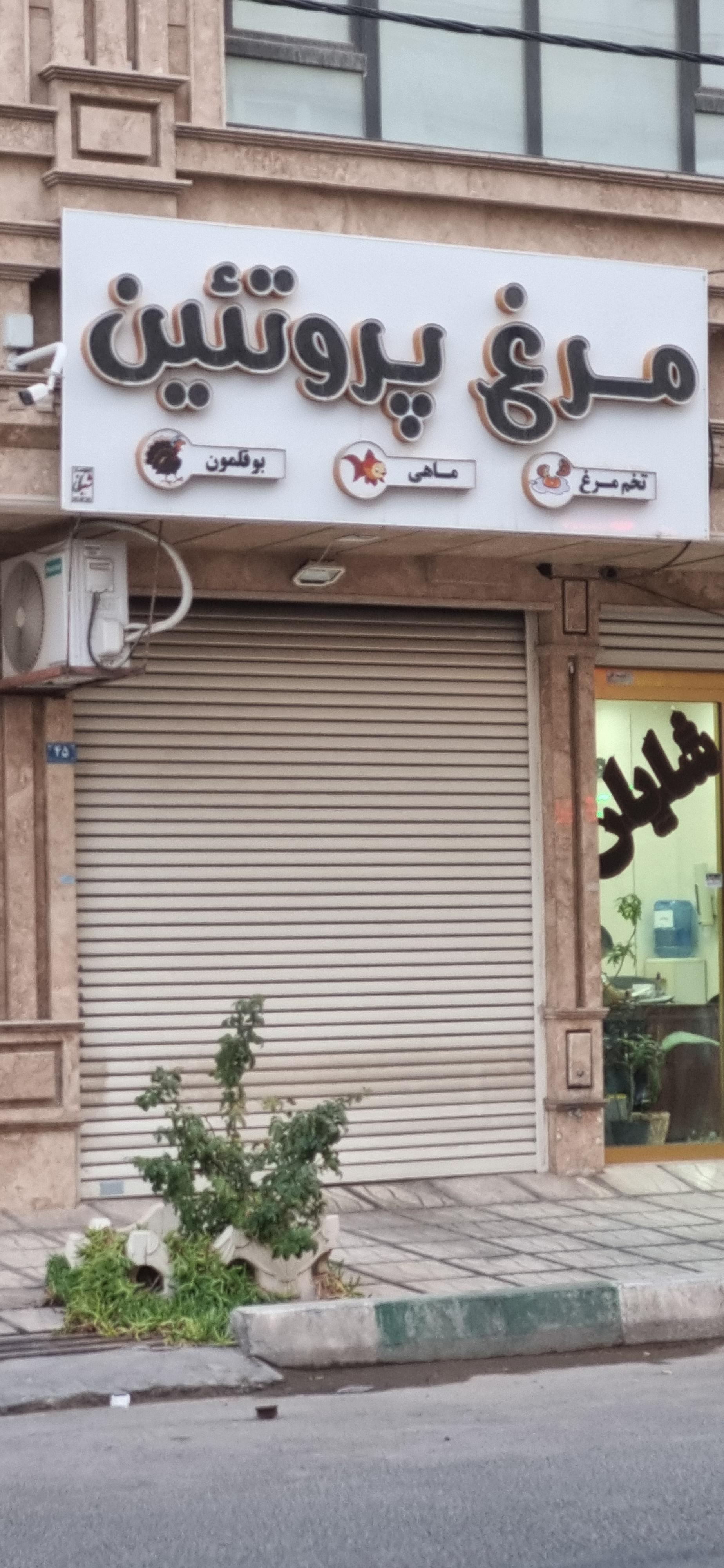 عکس فروشگاه پروتئینی