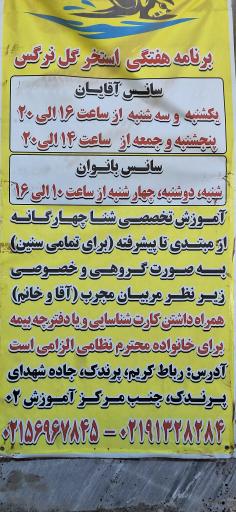 عکس استخر گل نرگس
