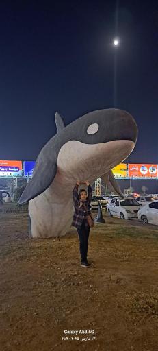 عکس ساحل بندر عباس