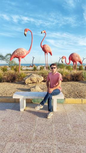 ساحل بندر عباس