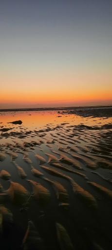 ساحل بندر عباس