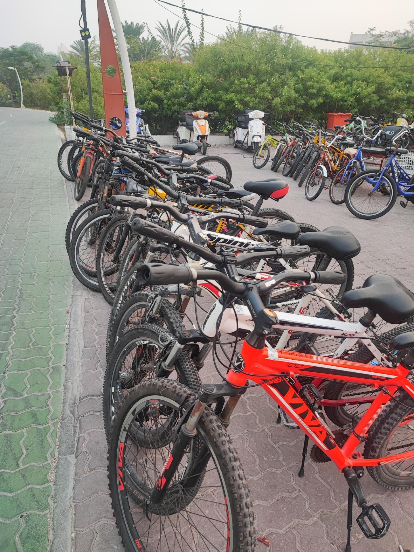 عکس ایستگاه دوچرخه هتل شایان