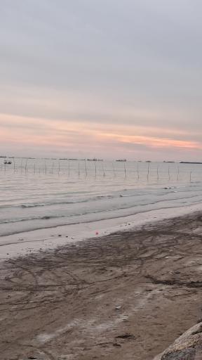 عکس ساحل بندر عباس