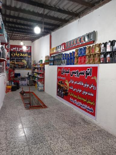 عکس تعویض روغن رضا