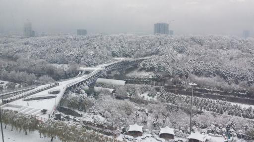 عکس بوستان بنادر