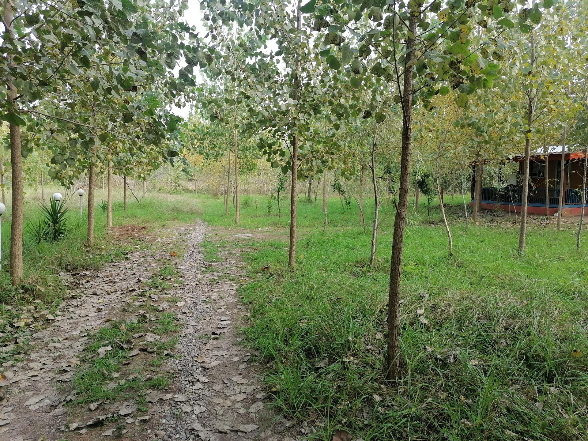 عکس ویلای بهبهانی 