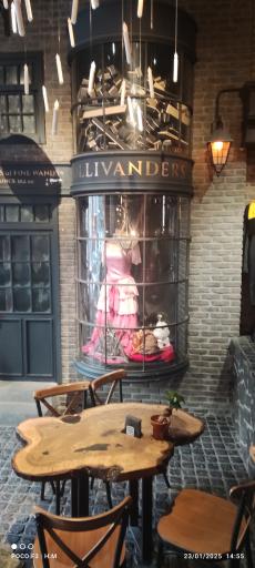 عکس کافه گالری فیلم و فراتر