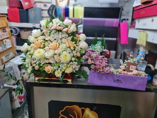 عکس گل کاتلیا