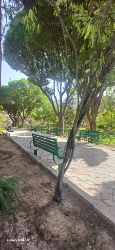 عکس بوستان شهدای گمنام